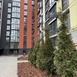 photo_2025-02-18_16-58-13