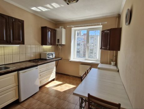 Оренда 1 кімната 44 кв. м. Володимирська (Центр) Хмельницький