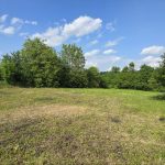 photo_2025-06-05_11-07-56-2