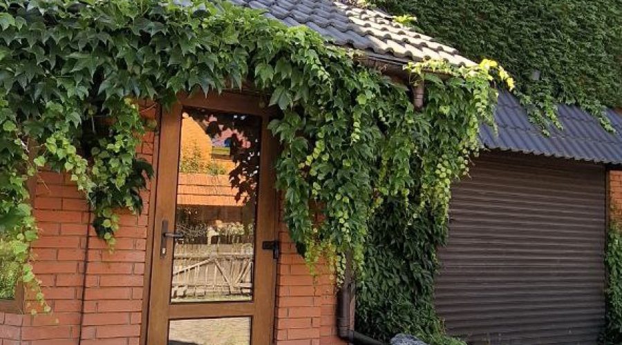 Оренда 4 кімнати 150 кв. м. (Старий аеродром) Хмельницький