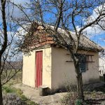 photo_2025-09-11_10-06-39