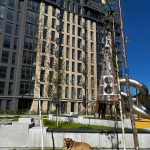 photo_2025-10-28_11-23-20-4