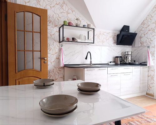 Оренда 2 кімнати (Старий аеродром) Хмельницький