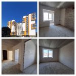 photo_2026-02-03_16-48-44