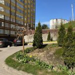 photo_2026-04-16_13-24-30