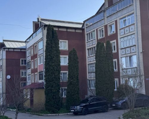 Продаж квартири 2 кімнати 63 кв. м. Камʼянецька (Ружична) Хмельницький