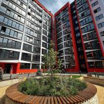 photo_4_2025-01-24_10-47-52