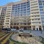 photo_4_2025-01-24_10-54-22