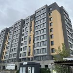 photo_4_2025-01-29_07-21-27