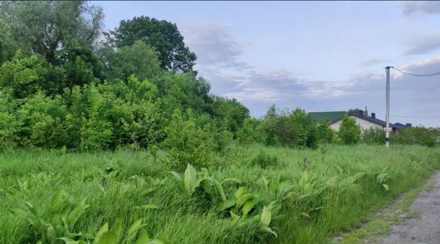 Продаж земельної ділянки 10 сот. Гонти (Лезнево) Хмельницький