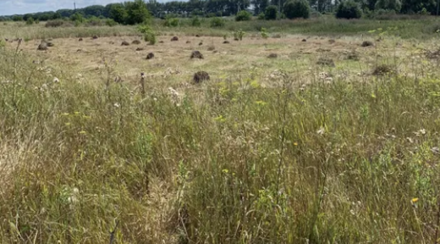 Продаж земельної ділянки 6 сот. Стельмаха (Лезнево) Хмельницький