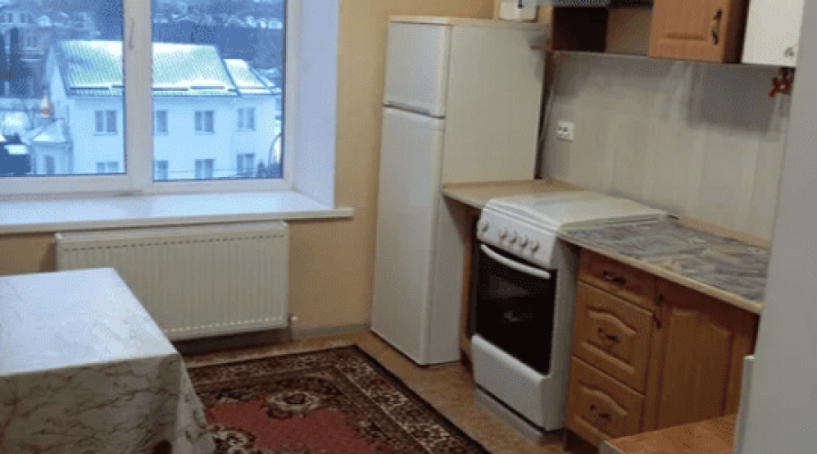 Оренда 1 кімната 47 кв. м. ЖК Егоїст (Дубове) Хмельницький